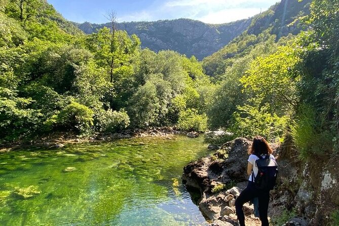 Half-day Private Tour in Skadar Lake