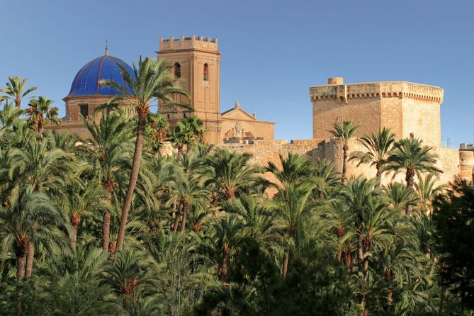 Half Day Private Tour to Elche and Santa Pola