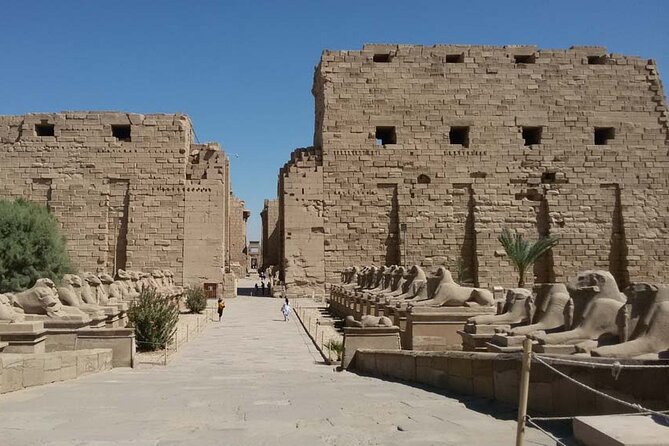 Half-Day Private Tour to Karnak & Luxor Temples From Luxor - Tour Highlights