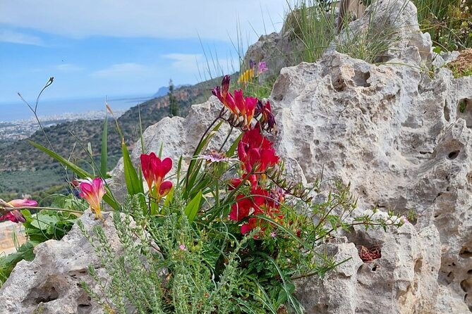 Half-Day Private Walking Tour Along the Orthodox Gorge - Tour Overview