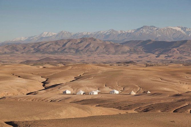 Half-Day Quad Biking in Agafay Desert
