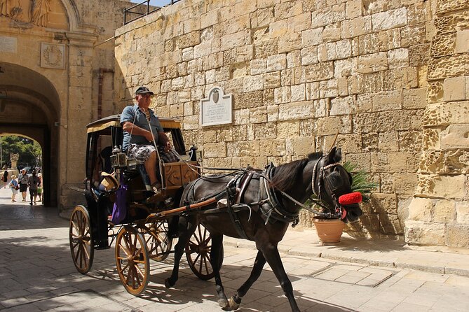 Half Day Shared Tour in Malta