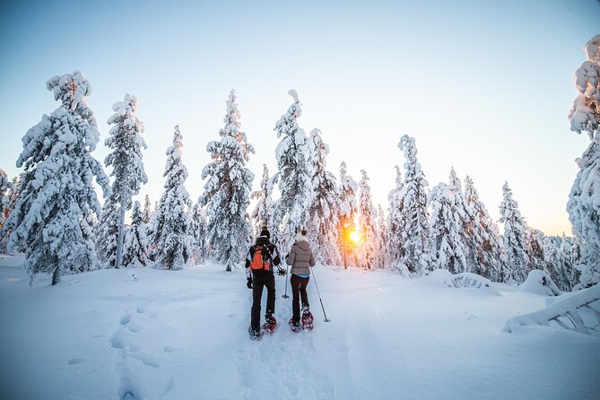 Half Day Snowshoe Hiking Adventure in Levi Lapland
