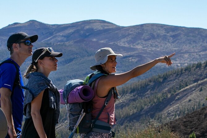 Half-Day Volcanic Experience in Teide, Tenerife - Geological Wonders of the Volcano