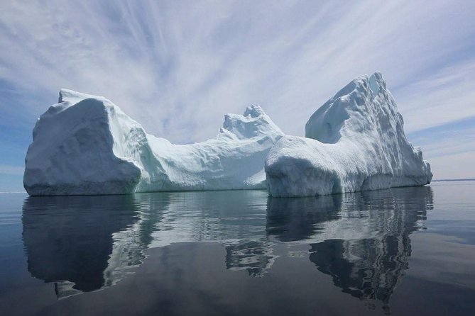 Harbour Kayak Tour