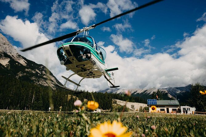 Helicopter Tour Over the Canadian Rockies