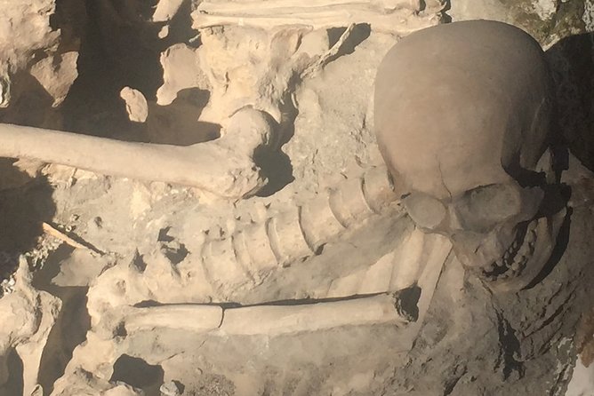 Herculaneum Private Walking Guided Tour 2 Hours - Tour Overview