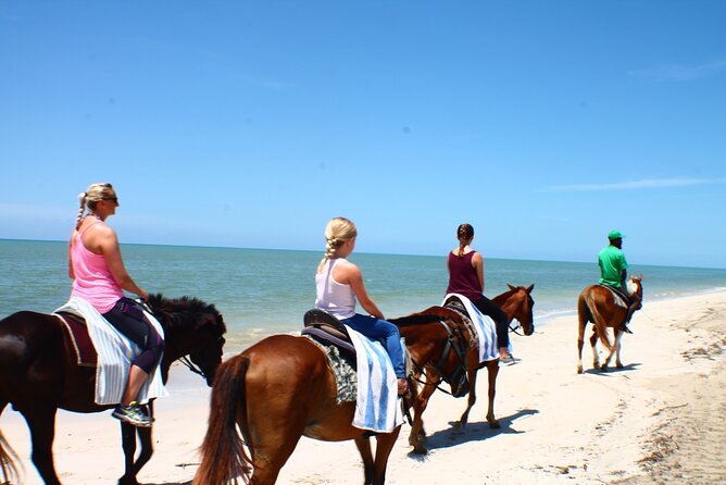 Heritage Beach Horseback Riding Tour - Experience Highlights