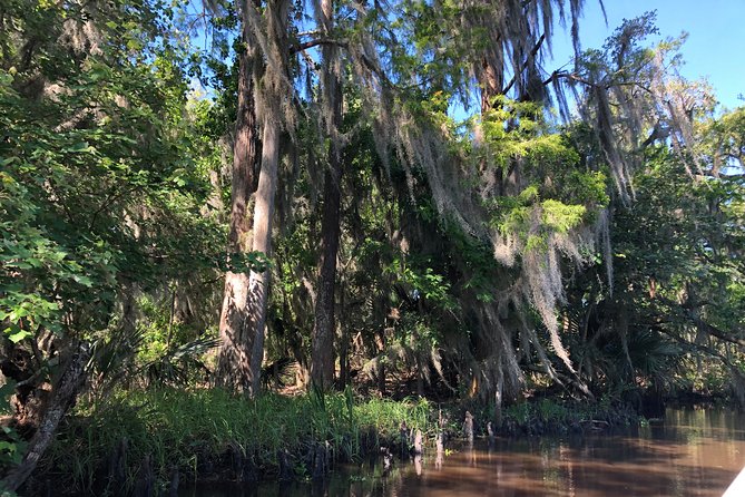 Highlights of New Orleans City and Swamp Tour Combination