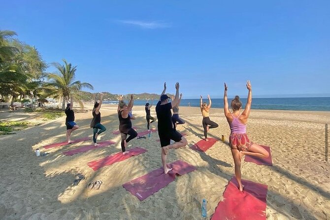 Hike and Yoga Jungle Experience in Mexico