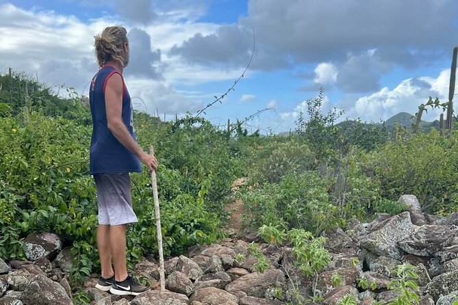 Hike Goto Flamingo Meer Trail & Explore North Bonaire
