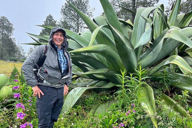 Hike in the Sierra Norte, Cuajimoloyas