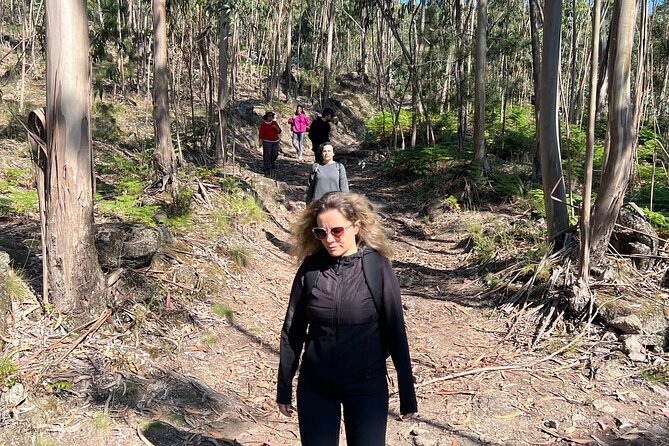 Hike With Meditation at the Top Of The Mountain - Meeting and Pickup Details