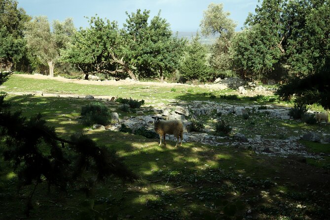 Hiking at Ancient Eleftherna Trail – Margarites, Crete