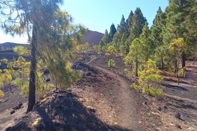 Hiking Classic Tenerife