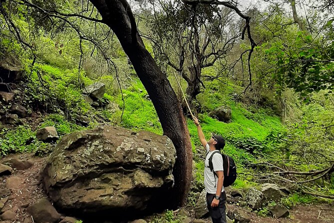 Hiking in Waterfalls & Rainforest by 2 Native Guides - Pickup Arrangements
