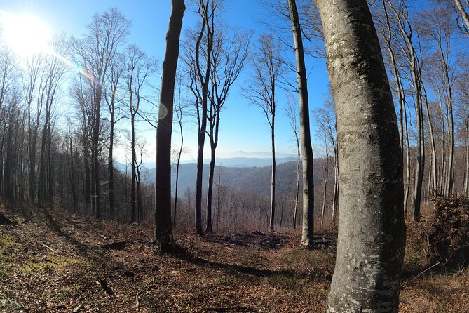 Hiking Medvednica & Medvedgrad Castle - Overview of Medvednica