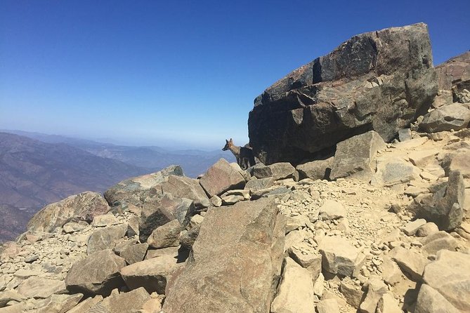 Hikking La Campana National Park From Valparaiso - Tour Overview