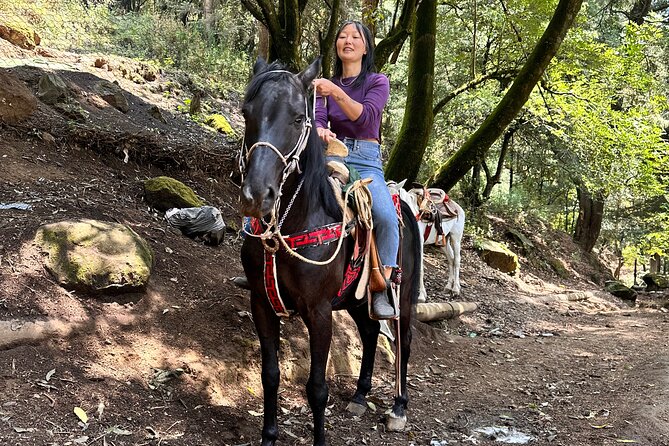 Horse Experience With My Family