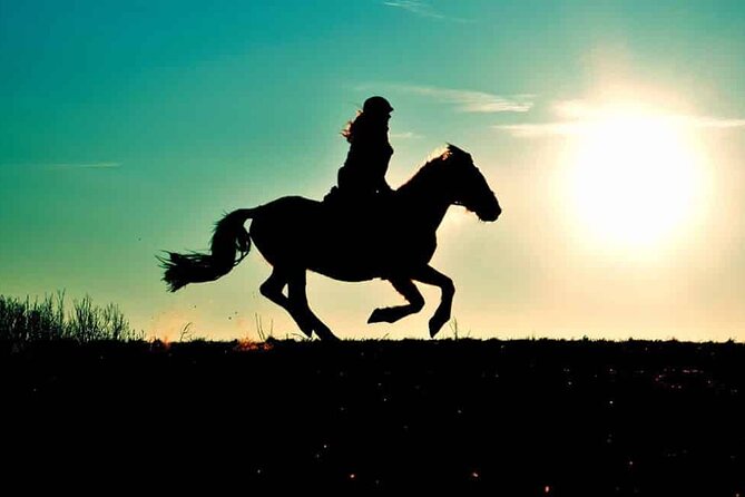 Horse Ride in Agadir & Options at Sunset & Barbecue With Couscous - Sunset Horse Riding Adventure