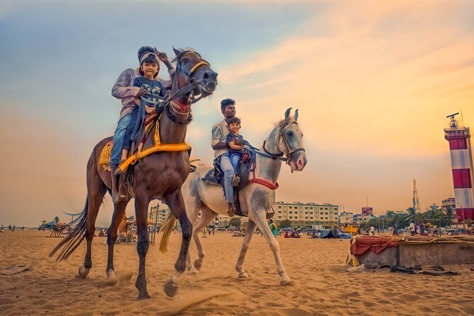 Horse Ride in Taghazout or Agadir