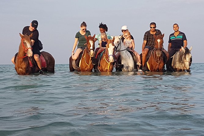 Horse Riding 3 Hours Beach, Desert, & Swimming by Horse in Red Sea – Hurghada