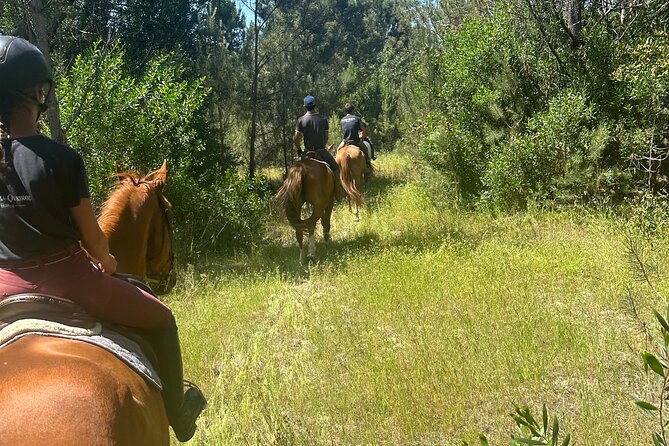 Horse Riding in the Countryside