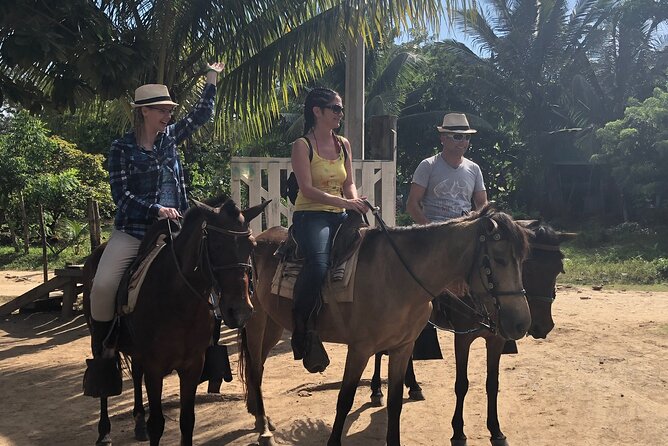 Horseback Ride and Beach Break - Highlights of the Horseback Ride