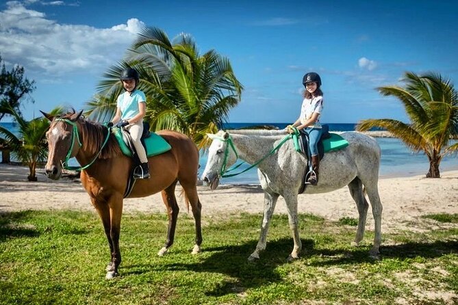 Horseback Ride and Swim From Montego Bay