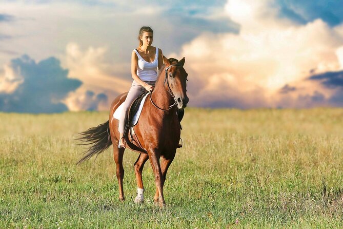Horseback Ride Through Puerto Plata