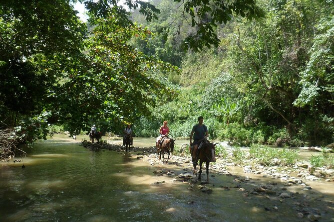 Horseback Riding Across Indigenous Trails Puerto Plata - Tour Overview