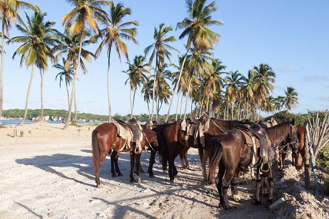 Horseback Riding Adventure in Punta Cana