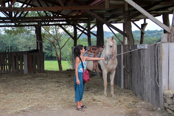 Horseback Riding and Tour in San Lorenzo Organic Farm