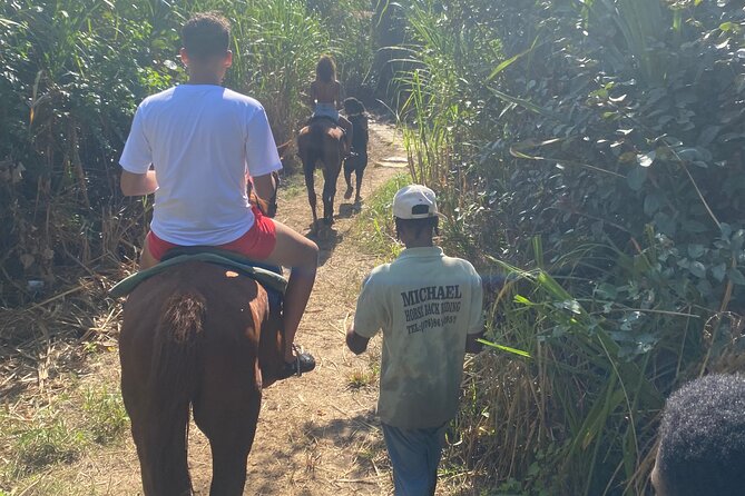 Horseback Riding + Bamboo River Rafting Experience From Ocho Rios