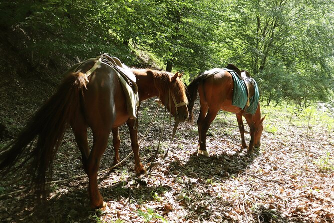 Horseback Riding in Azerbaijan