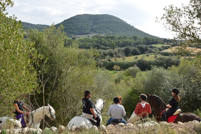 Horseback Riding in Randa Valleys, Mallorca, Spain