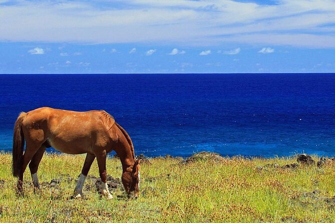 Horseback Riding on Easter Island