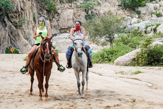 Horseback Riding on The Beach and Through The Desert! - Tour Overview and Details