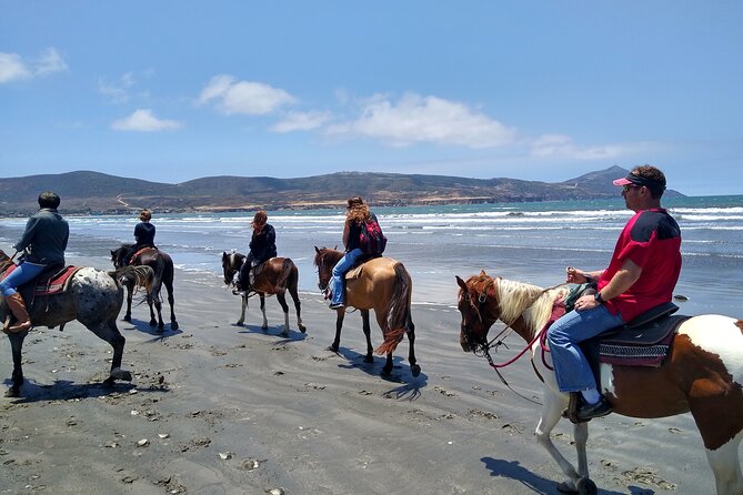 Horseback Riding on the Beach From Ensenada