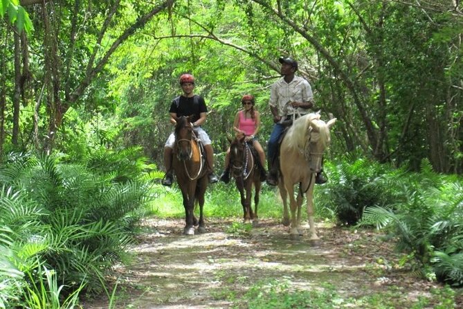 Horseback Riding on the Beach in Punta Cana (Two Hours)