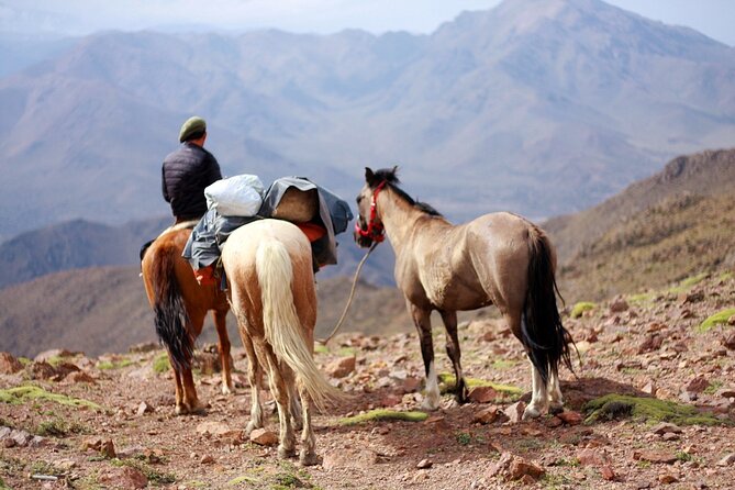 Horseback Riding to the Heart of the Andes