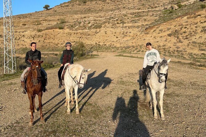 Horseback Riding With Certified Guide Review - Overview of the Activity