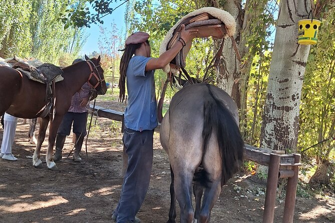 Horsebackriding and Lunch With Transfer Included