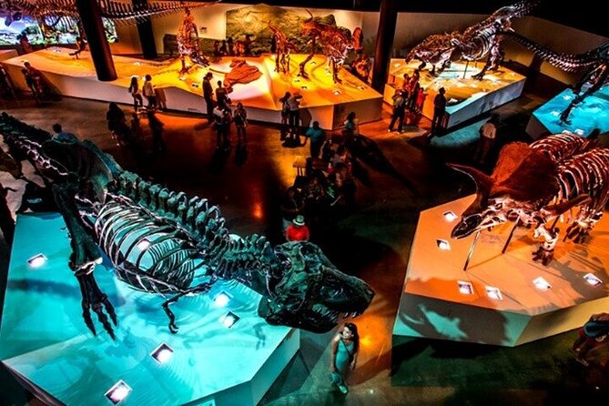 Houston Kids Choice Museum Pass Review - Inclusions Offered