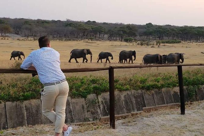 Hwange 3 Day Safari