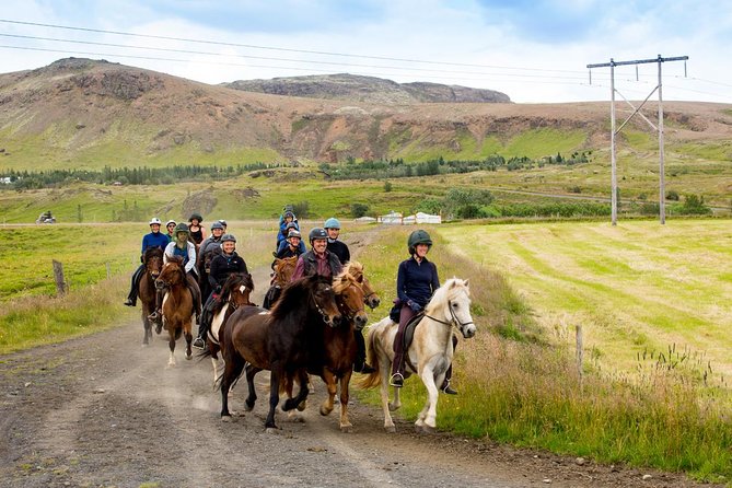 Icelandic Horse Riding and Whale Watching Cruise From Reykjavík