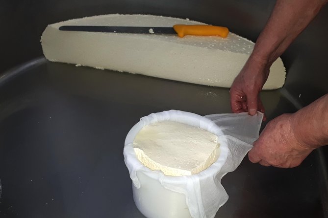 Idiazabal Cheese Tour From San Sebastian