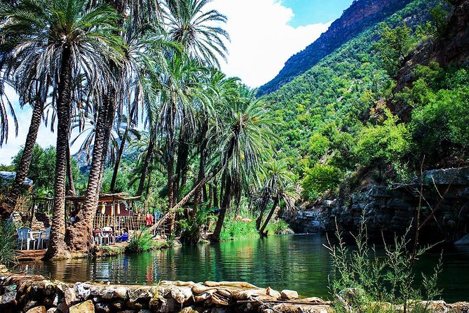 Imouzzer Waterfall Excursion & Paradise Valley