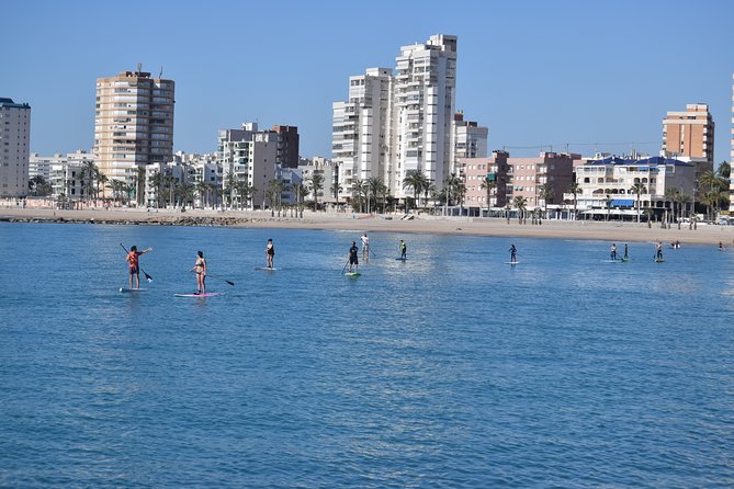 Initiation or Journey in Stand up Paddle (Sup) in El Campello (Alicante)