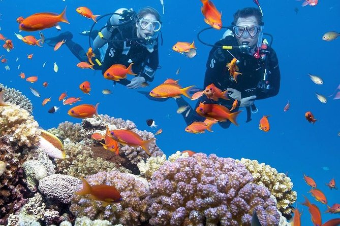 Intro Scuba Diving Experience in Hurghada
